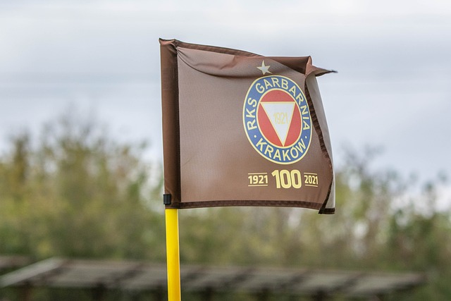 从过往的案 从过往的案