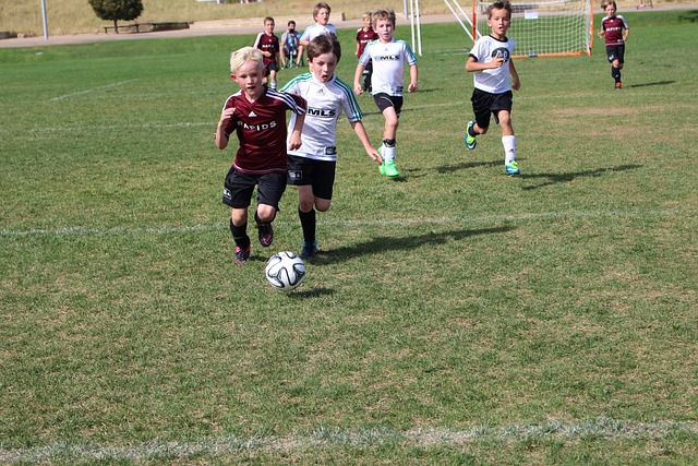 詹姆斯的状 詹姆斯的状