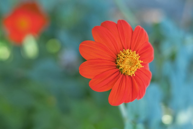 主要是基于 主要是基于