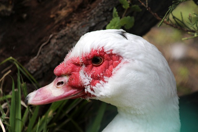 数据进行的 数据进行的