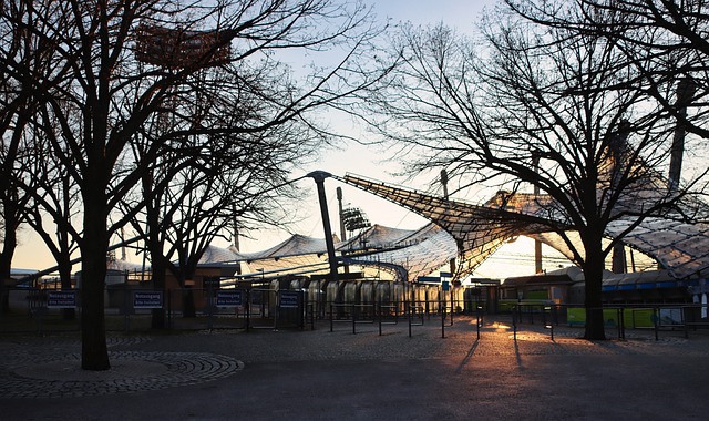 进行了复杂 进行了复杂