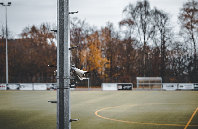 疑是一种巨 疑是一种巨